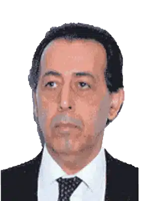 محمدقلی مجد