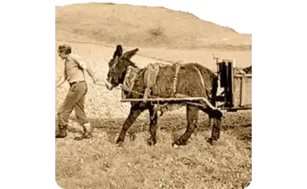 معیشت دهقانان در زمان پهلوی